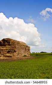 green field under the daylight with haystack. country landscape