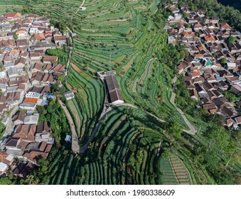 green field and vilage in central java indonesia