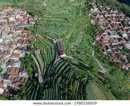 green field and vilage in central java indonesia