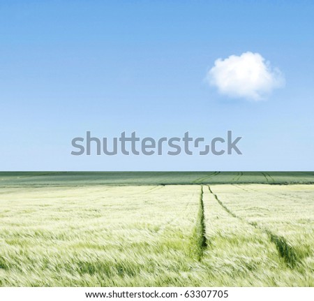 Similar – Greener Grass Nature Sky