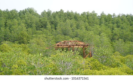 Green Field Wooden Pavillion