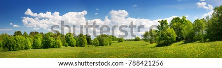 Green field with yellow dandelions and blue sky. Panoramic view to grass and flowers on the hill on sunny spring day