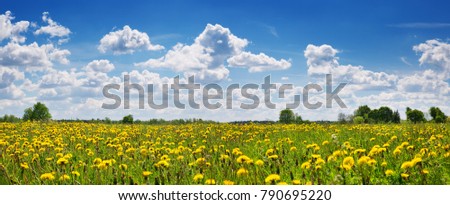 Similar – Image, Stock Photo A beautiful spring day. Fresh colors of young foliage and flowering trees put you in a good mood