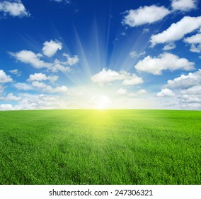 3,427,489 Green Grass Blue Sky Images, Stock Photos & Vectors ...