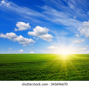 871,061 Green grass sun light Images, Stock Photos & Vectors | Shutterstock