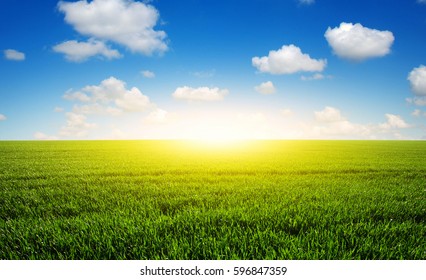 Green Fieldblue Sky Sun Stock Photo 596847359 | Shutterstock