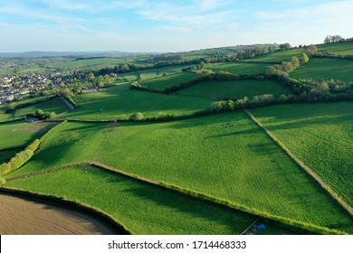 Green Fields Aerial Shot Somerset Grass Crop