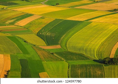 Green Fields Aerial View Before Harvest At Summer