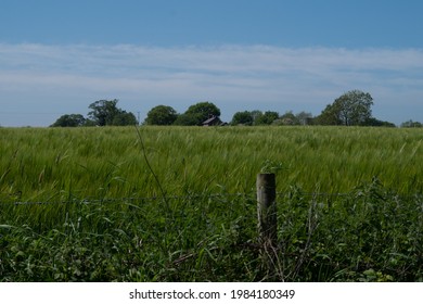 Green Fields Along The Shropshire Union Canal