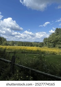 green fields and a blue sky with clouds
