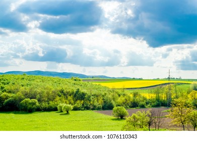 Green Fields, Croatia, Slavonia Region