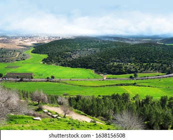 Green Fields And Hills In The Winter Of Israel. The View From The Top Of The Hill Tel Azekah. Elah Valley 