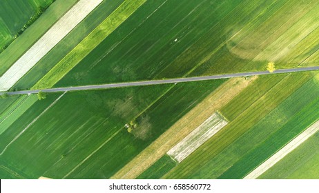 Green Fields And Road Arial View