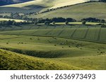 Green fields and rolling hills in the South Downs, at Kingston Ridge near Lewes