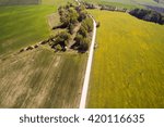 Green fields in spring time, Dobele county, Latvia.
