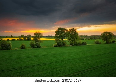 Campos verdes al atardecer