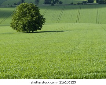 Prairie Verte High Res Stock Images Shutterstock