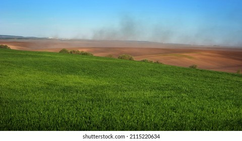 Green Fields Winter Wheat And Clouds Of Dust On The Hills Of Plowed Lands, Problem Of Soil Erosion From The Wind