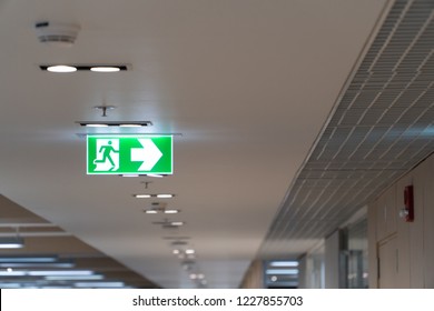 Fire Exit Signs Hanging On Ceiling Stock Photo (Edit Now) 1515145529