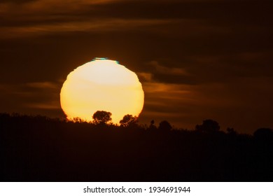 Green Flash At Sunset And Trees