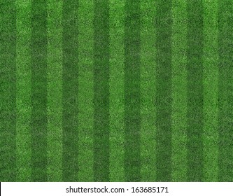 Green Flat Field Astro Fine Grain Pitch 