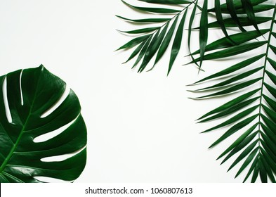 Green Flat Lay Tropical Palm Leaf Branches On White Background. Room For Text, Copy, Lettering.