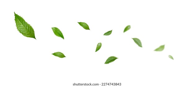 Green Floating Leaves, Air Purifier Atmosphere Simple Main Picture	 - Shutterstock ID 2274743843
