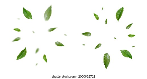 Green Floating Leaves Flying Leaves Green Leaf Dancing,  Air Purifier Atmosphere Simple Main Picture - Shutterstock ID 2000932721