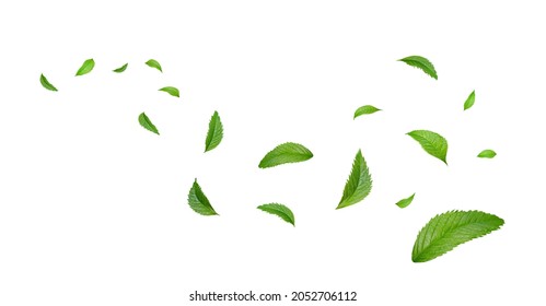 Green Floating Leaves Flying Leaves Green Leaf Dancing, Air Purifier Atmosphere Simple Main Picture - Shutterstock ID 2052706112