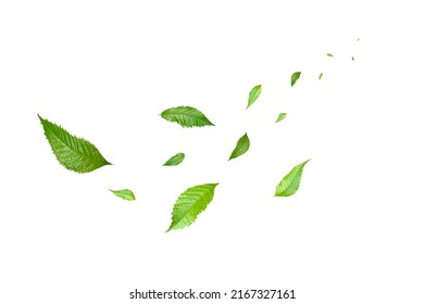 Green Floating Leaves Flying Leaves Green Leaf Dancing, Air Purifier Atmosphere Simple Main Picture	 - Shutterstock ID 2167327161