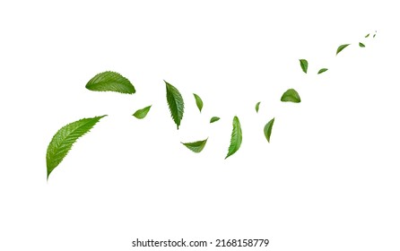 Green Floating Leaves Flying Leaves Green Leaf Dancing, Air Purifier Atmosphere Simple Main Picture	 - Shutterstock ID 2168158779