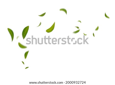 Green Floating Leaves Flying Leaves Green Leaf Dancing,  Air Purifier Atmosphere Simple Main Picture