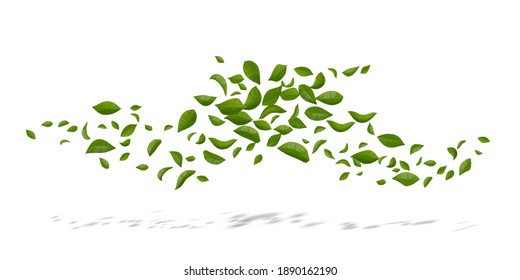 Green flying or falling off leaves.  abstract foliage background