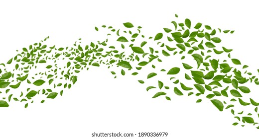 Green flying or falling off leaves.  abstract foliage background, motion blur image