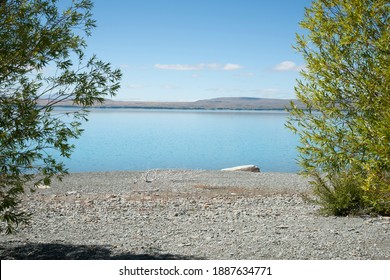 Green Foliage And Grey Stony Lake Edge And Turquoise Blue Water Of Snow Feed Scenic Lake Pukaki In South Ilsand New Zealand.