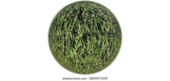 Green Foliage Texture Sphere with Leaf Pattern Isolated on White Background Abstract Nature 3D Render Botanical Plant Surface Design Element. 