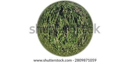 Green Foliage Texture Sphere with Leaf Pattern Isolated on White Background Abstract Nature 3D Render Botanical Plant Surface Design Element. 