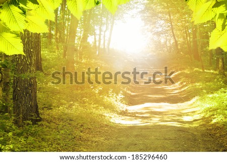 green forest 