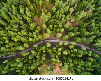 Green Forest Aerial Drone View. Road With Truck In Forest From Above. Transportation Background.