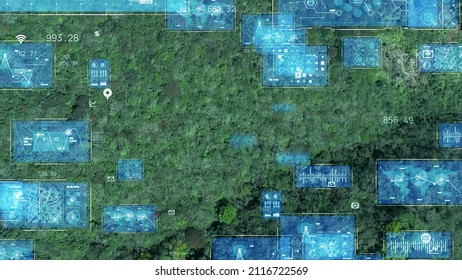Green forest aerial view and data analysis concept. Environment technology.