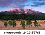 A green forest against the backdrop of mountains. San Francisco Peaks, Arizona
