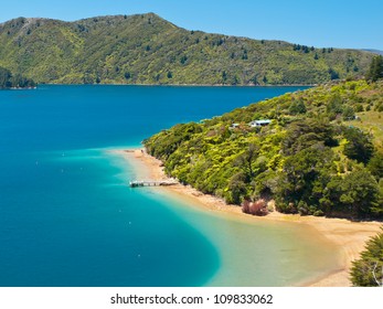 Green forest and blue water in the Marlborough sounds, New Zealand