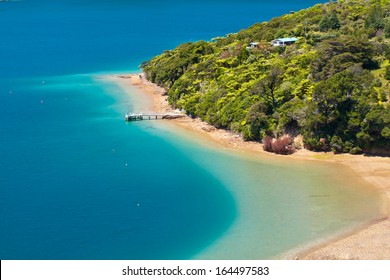 Green forest and blue water in the Marlborough sounds, New Zealand