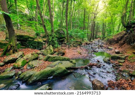 Green forest creek, stream of the Alps mountains. Beautiful water flow, sunny colorful mossy rocks nature landscape. Amazing peaceful and relaxing mountain nature scene, spring summer adventure travel