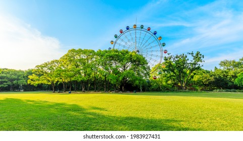 Green forest and ferris wheel with grass in the city park.