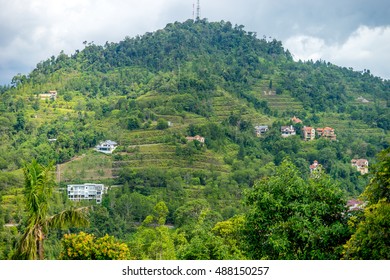 Green Forest And Houses In Bukit Tinggi, Pahang