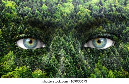 Green Forest And Human Eyes - Save Nature Concept