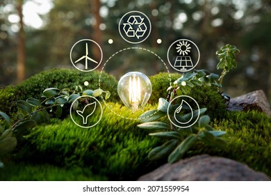 Green forest with moss and grass with lightbulb. Symbols of sustainable and eco friendly energy sources. Earth energy concept.