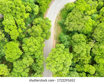 green forest passed by the road - Shutterstock ID 1722291652
