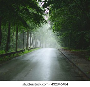 Green Forest And Rainy Road